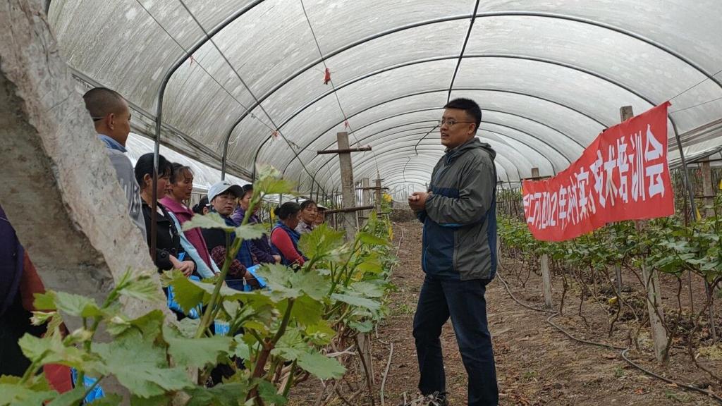 川农大果树专家赴乐山助力葡萄产业发展